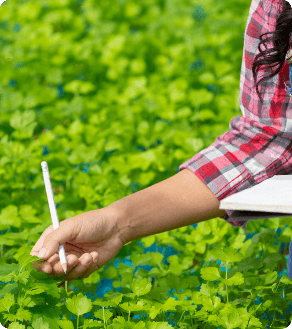 Pre-season Seed Planning