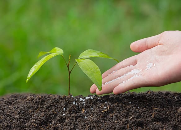 Fertilizers & Plant Nutrients