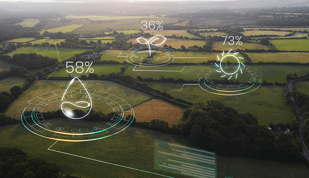 Feasibility & Climate Risk Assessment